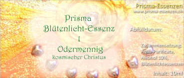 01.Odermennig (Kosmischer Christus)
