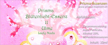 11.Ulme (Lady Nada)