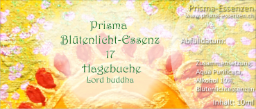 17.Hagebuche (Lord Buddha)