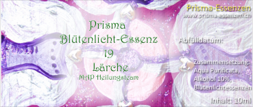 19.Lärche (MAP-Heilungsteam)