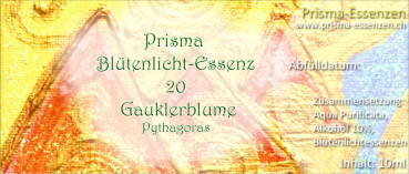 20.Gauklerblume (Pythagoras)