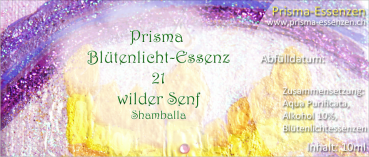 21.Wilder Senf (Shamballa)