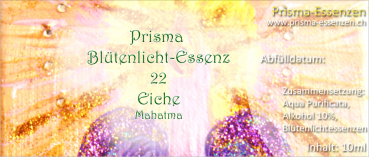 22.Eiche (Mahatma)