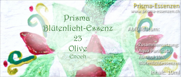 23.Olive (Enoch)