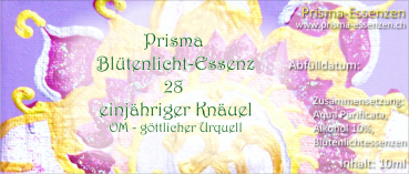 28.Einjähriger Knäuel - (OM)