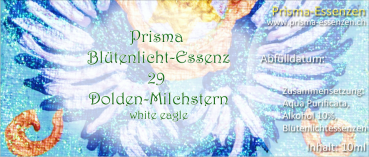 29.Doldiger Milchstern (White Eagle)