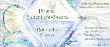 03.Rotbuche (El-Morya)