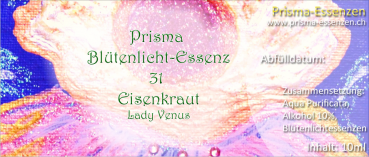 31.Eisenkraut (Lady Venus)