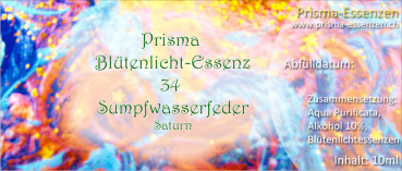 34.Sumpfwasserfeder (Saturn)