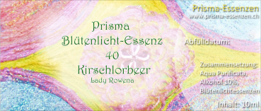 40.Kirschlorbeer (Lady Rowena)