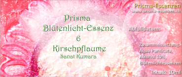 06.Kirschpflaume (Sanat Kumara)