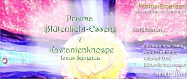 07.Kastanienknospe (Jesus Sananda)