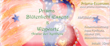 08.Wegwarte (Avatar der Synthese)