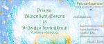 18.Drüsiges Springkraut (Vywamus-Lenduce)